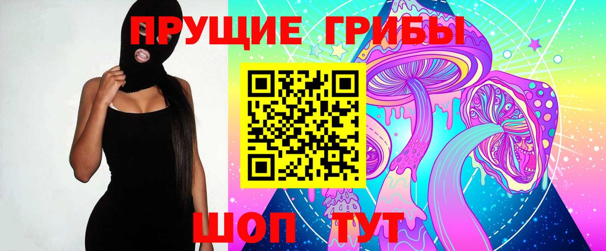 Россошь  Псилоцибиновые грибы GOLDEN TEACHER  Вход с VPN  Псилоцибиновые грибы Cubensis 